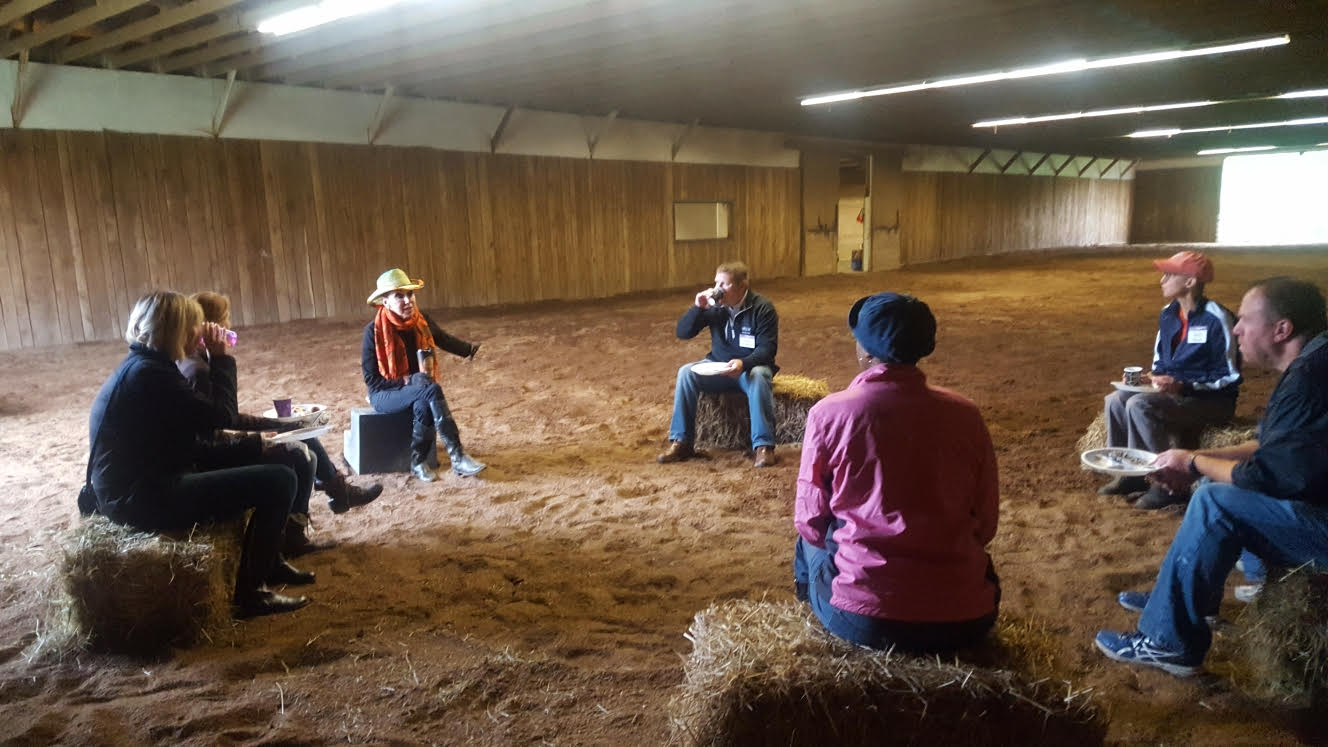 Learning lessons at HorseTalk